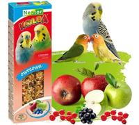 2x Budgie Sticks with FRUITS Parakeets Flask Bird Food 85g Canary Parrots Parakeet Finches Canaries Budgies Pet Pack of Two Treats Apple Pear Bananas Kiwi Seed Hooks