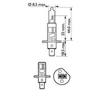 2x Bulb P14.5s H1 12258XVPS2 PHILIPS for OPEL BMW FORD ALFA ROMEO CITROËN FIAT