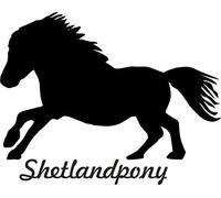2x Car Decal " SHETLAND PONY " Pony Horse Bumper Sticker die-cut (ca. 11x9 cm) (black)