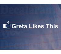 2x Car Stickers GRETA LIKES THIS Thumbs Up FB Funny Window Bumper Boot Decals