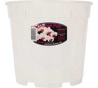 2X Clear Orchid Pot - White 21cm