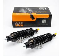 2x Complete Struts Assembly Rear for Mitsubishi Outlander I 2004-2006