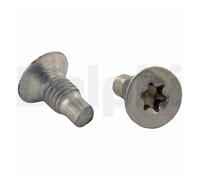 2X Delphi Brake Disc Screws BGK001 Front Rear M8 x 1.25 Steel 17 mm
