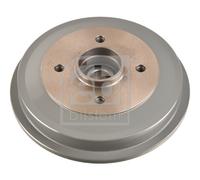 Rear Brake Drum and Bearing Fits Citroën OE 4247.46 Febi 171094