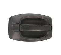 2x ✅Fits BLIC 6010-07-038402P Door handle external Front Right 6010- ⭐UK Seller⭐