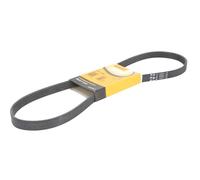 2x ✅Fits CONTITECH 5 PK 1094 V-ribbed Belt 5 PK 1094 Multi-V-belt (5 ⭐UK Seller⭐