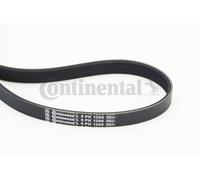 2x ✅Fits CONTITECH 6PK1306 V-RIBBED BELT ⭐UK Seller⭐