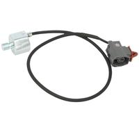 DELPHI AS10253 Knock Sensor