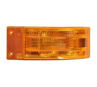 2x ✅Fits DT SPARE PARTS 2.24139 Indicator lamp front 2.24139 do VOLV ⭐UK Seller⭐