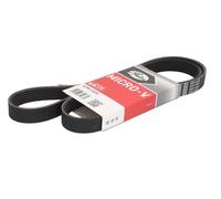 2x ✅Fits GATES GAT6PK1305 V-ribbed Belt GAT6PK1305 Multi-V-belt (6PK ⭐UK Seller⭐