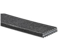 2x ✅Fits GATES PASKI MV 8DPK1445 8DPK1445 MV UNIQUE FIT ⭐UK Seller⭐