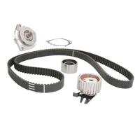 2x ✅Fits HEPU HEPPK10891 Water Pump & Timing Belt Kit PK10891 Timing ⭐UK Seller⭐