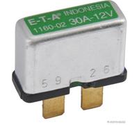 2x ✅Fits HERTH+BUSS ELPARTS 50295953 Fuse Automatic 30A 12V 50295953 ⭐UK Seller⭐