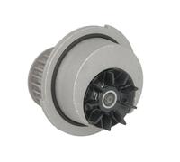 Water Pump 538002410 INA Coolant 1334046 1334066 90444079 9192797 R1160030 New