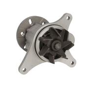 INA Water Pump 538 0501 10 - Engine cooling for Citroën, Land Rover, Peugeot
