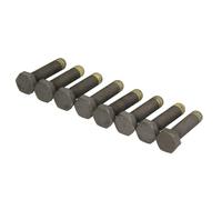 LuK DMF BOLT FITTING KIT - 411002610