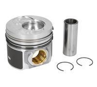 2x ✅Fits NURAL 87-421000-10 Piston 87-421000-10 Piston 81 (STD) fits ⭐UK Seller⭐