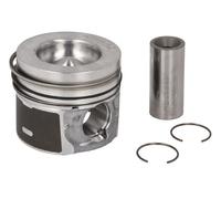 2x ✅Fits NURAL 87-453100-00 Piston 87-453100-00 Piston 75 (STD) fits ⭐UK Seller⭐