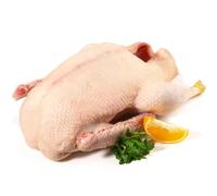 2x Fresh Free Range Christmas Goose 6-7 kg
