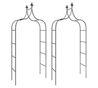 vidaXL 2x Garden Arches Black 120x38x260 cm Steel Rose Arch Pergola Trellis