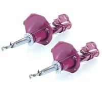 2x Gas Shock Absorber PRO Front Right+Left GH+352259H/V