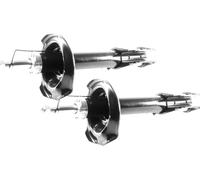 2x Gas Shock Absorber Rear Right=Left GH-354414H/V