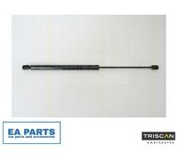 2x Gas Spring, boot-/cargo area for RENAULT MEGANE TRISCAN 8710 25232