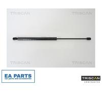 2x Gas Spring, boot-/cargo area for RENAULT MEGANE TRISCAN 8710 25232 NEW