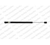 2x GAS SPRING REAR FORD FOCUS HATCHBACK 12/00-11/04