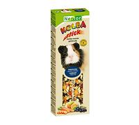 2x GUINEA PIG Stick Black Currants/Orange/Carrot Rodents Hamster Rabbits Mouse Gerbil Pet Specialized Food 115g Supplies Treats