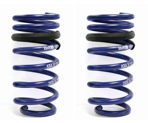 2X H&R Lowering Springs Front For BMW Z8 (E52) 25Mm + Dampening Rings