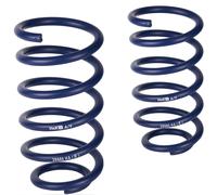 2x H&R Suspension Springs Rear for Dacia Duster 4WD +30mm from 28935-1