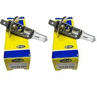 2X H1 Halogen Headlight Spot Fog Light Bulbs 12V 100W 14.5S Rally, More Brightness, High Power
