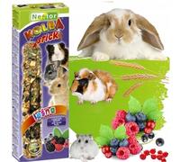 2x Hamster Rabbits Two Sticks Food FOREST FRUITS Flavor Seed Treats 115g Guinea Pig Rat Mouse Gerbil Rodents Small Animal Pet Vegetable Foods Degu Snacks
