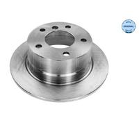 MEYLE 315 523 3058 BRAKE DISC Rear (PAIR)