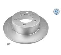 2X Meyle 615 523 0016/PD Rear Brake Disc Solid 305mm Fits Nissan Opel Renault