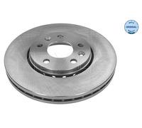 2X MEYLE BRAKE DISC FRONT AXLE FOR FIAT NISSAN OPEL RENAULT VAUXHALL NV300 TALEN