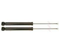 TRW JGT450T Shock absorber