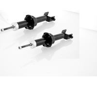 2x Oil Shock Absorber Rear Right=Left GH-302632