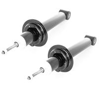 2x Oil Shock Absorbers Rear Right Left for Lada 110-112, Kalina, Priora, Samara