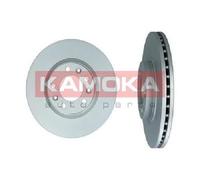 2x Original KAMOKA Brake Disc 1031082 for Citroën Opel Peugeot