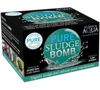 2x Pack Evolution Aqua Pure Sludge Bomb Pond Sludge Remover - Natural Sludge Buster for Pond Clear Water Treatment, Bacteria Balls Cleaner Pond Bomb for Fish Ponds | 2 Gel Ball Treats 20,000 litres