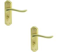 2x PAIR Curved Lever on Sculpted Bathroom Backplate 180 x 48mm Dual Brass Loops Metallics One Size