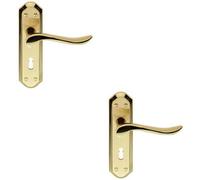 Loops 2x PAIR Curved Lever on Sculpted Edge Backplate 180 x 48mm Satin/Polished Brass in Metallics Loops Metallics