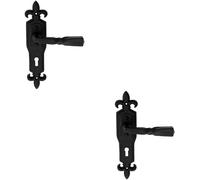 2x PAIR Forged Twisted Ornate Lever on Lock Backplate 226 x 50mm Black Antique Loops Black One Size