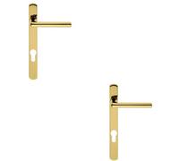 2x PAIR Straight Lever on Narrow Euro Lock Backplate 220 x 26mm Stainless Brass
