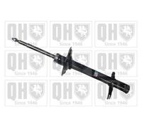 2x QH Shock Absorber Strut Front Twin-Tube Top Pin Fits Citroen Fiat Opel