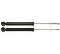 TRW JGT448T Shock absorber