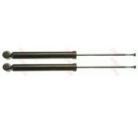 2x Shock absorber Rear Axle Top pin JGT555T TRW for RENAULT CLIO III