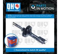 Quinton Hazell QAG181310 Shock Absorber